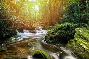 montanha rio corrente cascata verde floresta panorama natureza plantar árvore floresta tropical selva pequena cachoeira com pedra verde mos foto
