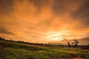 lindo céu laranja pôr do sol no campo e grama verde prado com paisagem rural e fundo de árvore foto