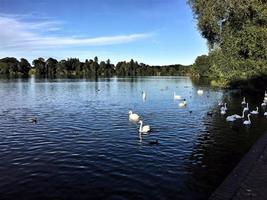 uma vista do lago ellesmere ao sol da tarde foto