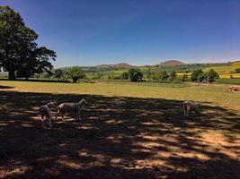 uma vista da zona rural de shropshire perto da igreja stretton foto