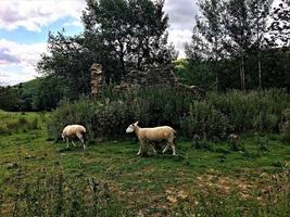 uma vista das colinas de caradoc em shropshire foto