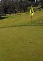 campo de golfe com vara de bandeira em um dia ensolarado foto
