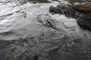 derramamento de petróleo bruto na praia foto