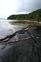 derramamento de petróleo bruto na praia foto