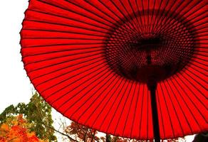 guarda-chuva japonês