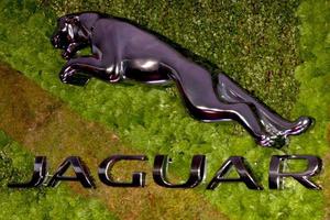 los angeles, 2 de maio - atmosfera jaguar no jaguar north america e britweek apresentam um caso de vilão no hotel de londres em 2 de maio de 2014 em west hollywood, ca foto