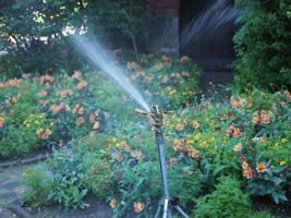 dispositivo de irrigação foto
