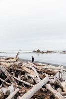 madeira flutuante na praia foto