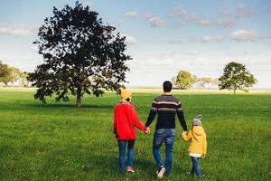 três membros amigáveis da família caminham juntos no prado verde, mantêm as mãos, têm uma conversa agradável, desfrutam da união e das belas paisagens, olham para longe, ficam de costas para a câmera foto