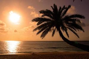 sunset beach, o'ahu, havaí foto