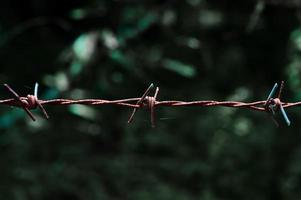 close-up de uma cerca de arame farpado em uma área restrita. foto