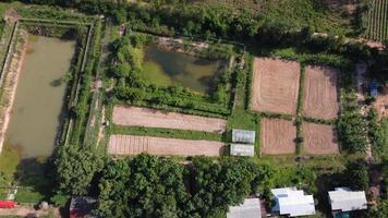 vista aérea de campos de arroz verde foto