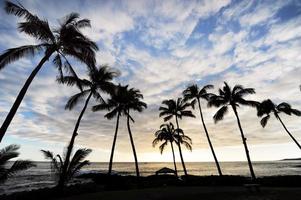paraíso de Havaí. foto
