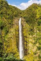 akaka falls, havaí foto