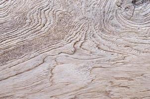 texturas de madeira