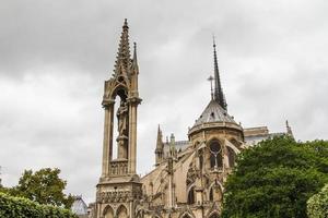 vista da paisagem de notre dame - paris foto