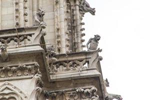 notre dame - paris vista de perto foto