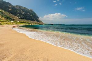praia havaiana com fundo de areia e montanha