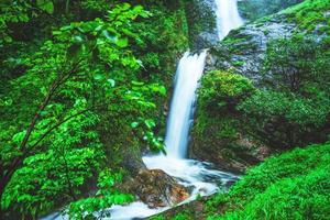 viaje pela cachoeira mais alta da floresta chiangmai mae-pan cachoeira da estação das chuvas em doi intanon foto