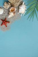 composição de verão. folhas de palmeiras tropicais, conchas sobre fundo azul. conceito de verão. configuração plana, vista superior, espaço de cópia foto