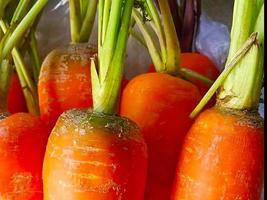 foto de close-up, cenoura fresca