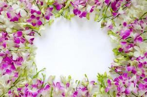 flores de orquídea rosa e brancas colocam em fundo branco para o conceito de foto de flor de primavera.