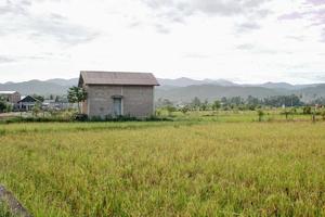 casa no meio de campos de arroz foto