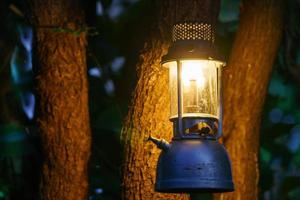 Lâmpada de óleo antiga pendurada em uma árvore na floresta à noite camping atmosfera.travel conceito ao ar livre image.soft foco.