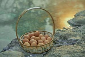 ovos de fontes termais onsen no parque nacional chae son, lampang tailândia, o método tradicional de ferver ovos nas fontes termais naturais da tailândia. Ovos de fervura a vapor de fontes termais japonesas dentro da cesta foto