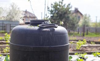 grande barril de plástico preto com água no jardim de verão. tanque de água da chuva no jardim, dia quente de verão. barris para regar o jardim. foto