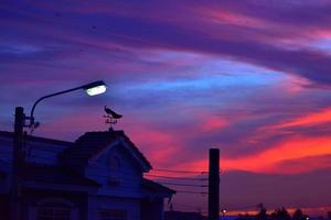 cata-vento ao nascer do sol com cores brilhantes nas nuvens foto