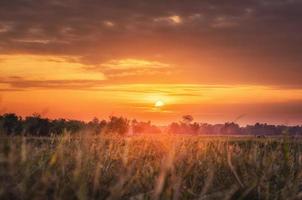 paisagem rural os campos ao nascer do sol de manhã e lindo céu foto