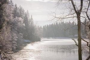 um lago idílico da floresta no inverno foto