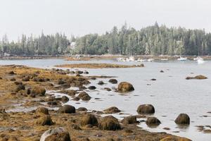 vista da maré baixa foto