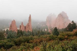 floresta com formações rochosas vermelhas foto