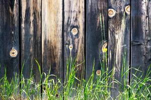 grama selvagem perto da cerca de madeira velha foto