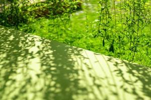 uma parte de cama verde ao lado da videira e jardim com luz e sombra. foto