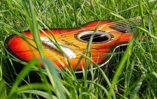 guitarra em um prado de primavera foto