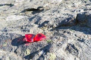 dois corações em uma pedra foto