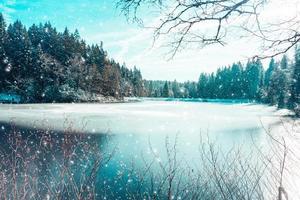 um lago idílico da floresta no inverno foto