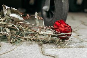 uma rosa murcha no chão em foco seletivo foto