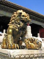 estátua de leão dourado, cidade proibida, beijing foto