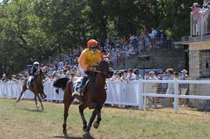 hipódromo agosto 09.2020 Sault, França foto