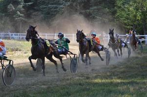 hipódromo de 11 de agosto de 2019 Sault, França foto