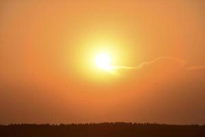 pôr do sol laranja à noite de verão no fundo da floresta e o círculo do sol. foto