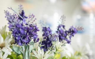 lavanda roxa turva e flores brancas foto