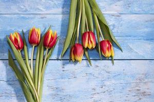 tulipas amarelas vermelhas, buquês de madeira azul