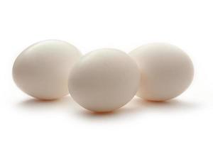 ovos no fundo branco foto
