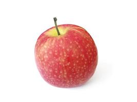 maçã isolada no fundo branco foto