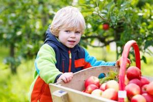 menino da criança na fazenda de apple colheita colheita foto